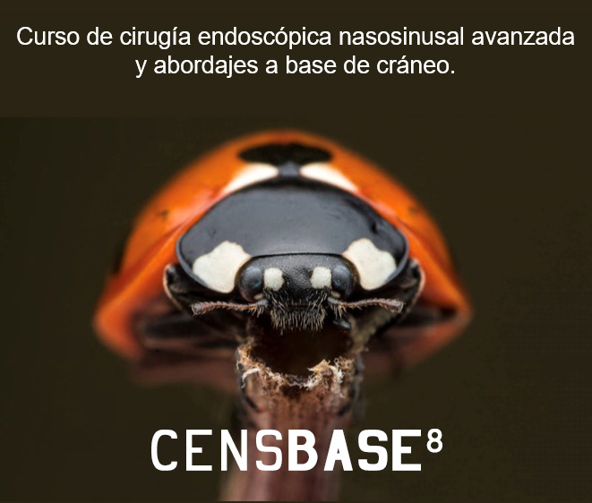 Censbase8
